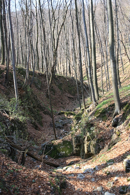 czatkowice 066